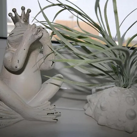 Jordanstr_ 35 1 Zingst