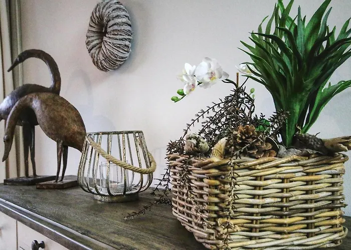 Jordanstr_ 35 1 * ツィングシュト