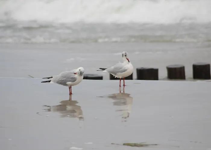 Jordanstr_ 35 1 アパート ツィングシュト