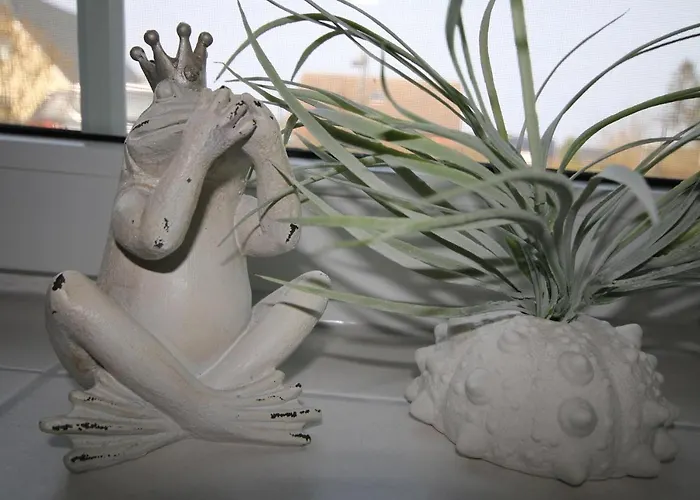 Jordanstr_ 35 1 ツィングシュト